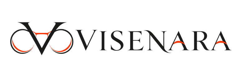 VISENARA eyewear logo